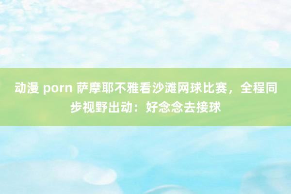 动漫 porn 萨摩耶不雅看沙滩网球比赛，全程同步视野出动：好念念去接球