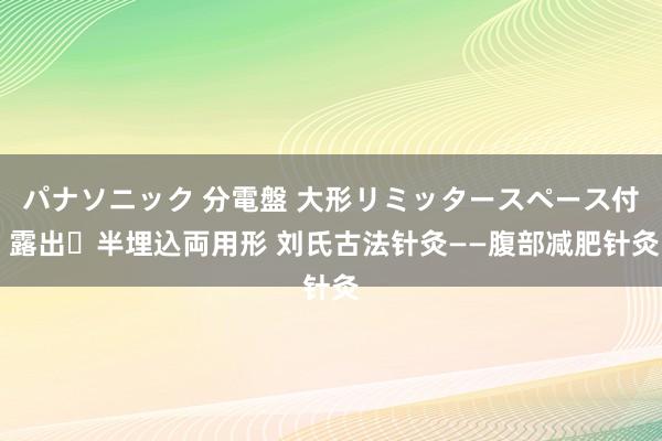 パナソニック 分電盤 大形リミッタースペース付 露出・半埋込両用形 刘氏古法针灸——腹部减肥针灸