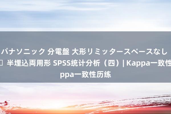 パナソニック 分電盤 大形リミッタースペースなし 露出・半埋込両用形 SPSS统计分析（四）| Kappa一致性历练