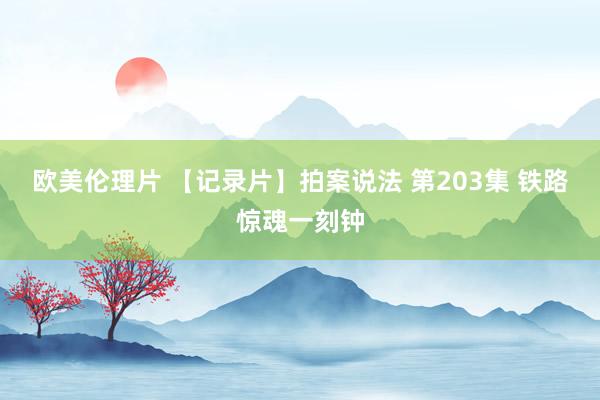 欧美伦理片 【记录片】拍案说法 第203集 铁路惊魂一刻钟